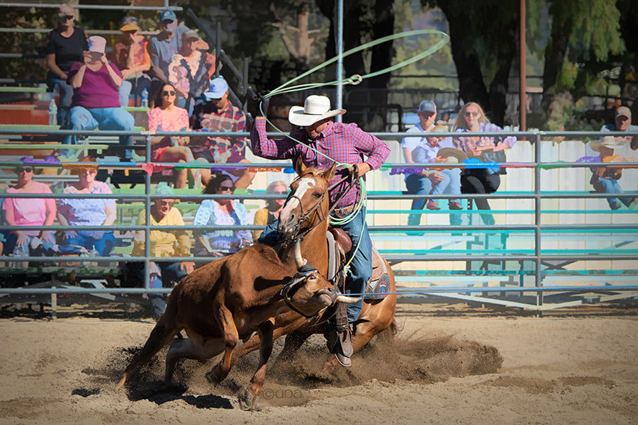 091919 Wine Country Rodeo 2